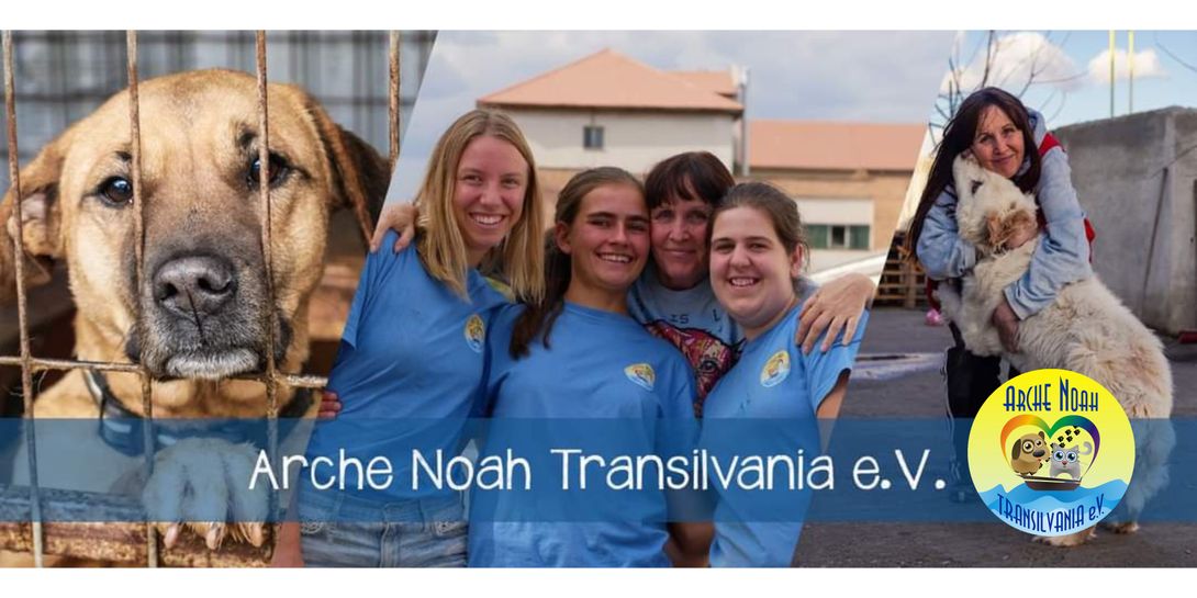 Arche Noah Transilvania e.V. Tarmstedt Tierheim Tierschutz